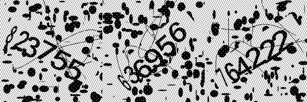 Please enable image downloads in your browser.
