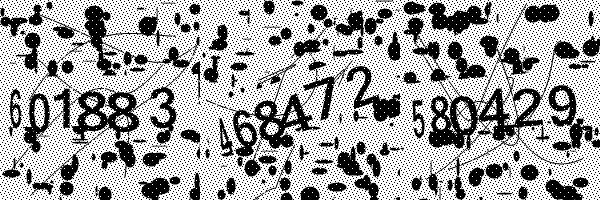 Please enable image downloads in your browser.