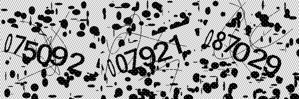 Please enable image downloads in your browser.