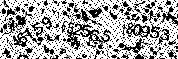 Please enable image downloads in your browser.